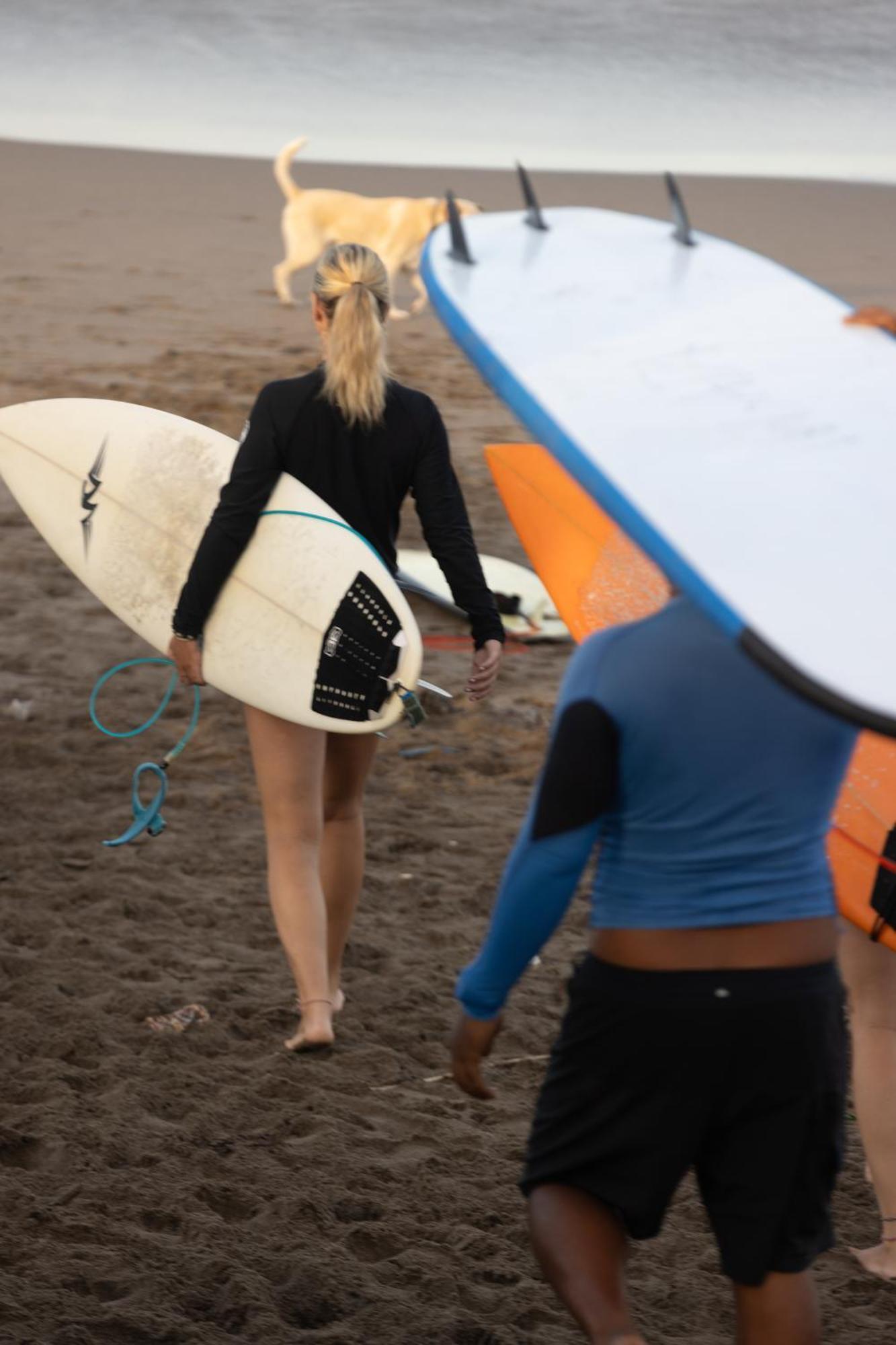 Zentiga Surf Hostel 坎古 外观 照片